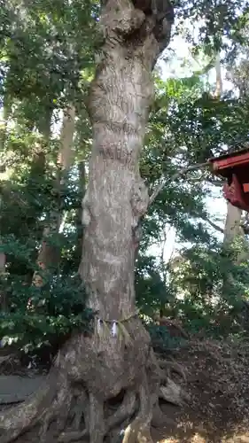 鹿島神社のその他建物