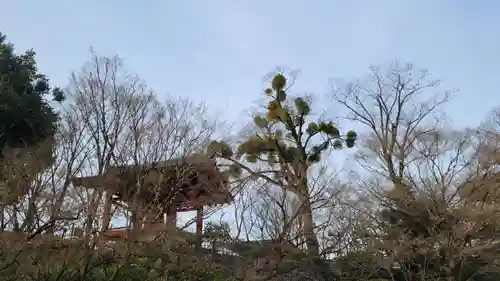 平等院(京都府)