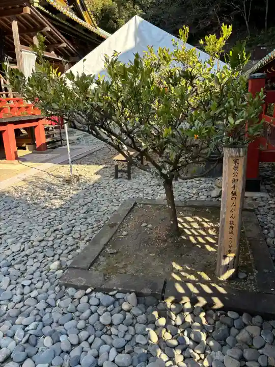 久能山東照宮の{uncategorized: "未分類", other: "その他", undefined: "問題あり", building: "その他建物", grave: "お墓", sacred_gate: "鳥居", guardian: "狛犬", statue: "像", buddha: "仏像", history: "歴史", nature: "自然", garden: "庭園", animal: "動物", pagoda: "塔", temizu: "手水舎", mountain_gate: "山門・神門", sanctuary: "本殿・本堂", subordinate: "末社・摂社", art: "芸術", scenery: "景色", jizo: "地蔵", ema: "絵馬", goshuin: "御朱印", omikuji: "おみくじ", items: "授与品その他", amulet: "お守り", goshuincho: "御朱印帳", eats: "食事", festival: "お祭り", votive_dance: "神楽", shichigosan: "七五三参", wedding: "結婚式", experience: "体験その他", initially: "初詣", around: "周辺", anti_infection: "感染症対策"}
