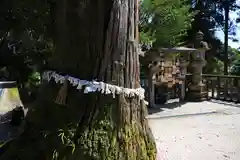 須我神社の建物その他