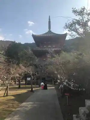 太山寺の塔