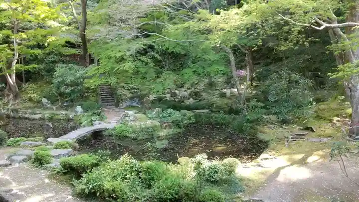 法然院の庭園