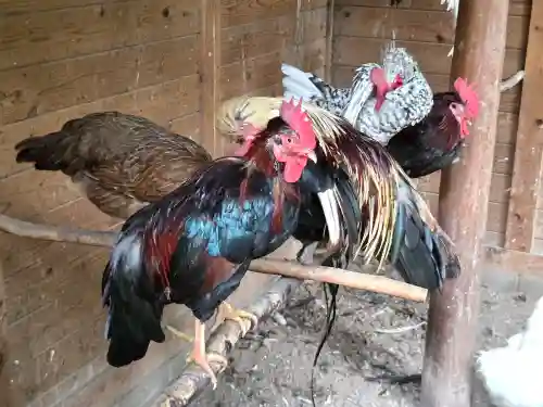 石上神宮(奈良県)