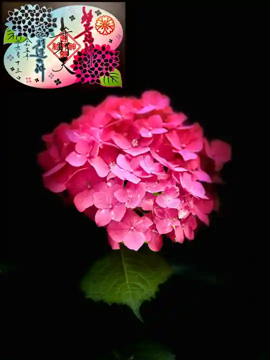 生田神社の御朱印