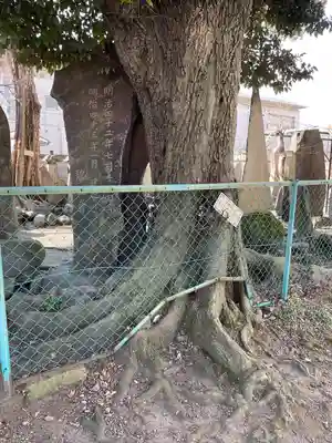 円通寺(東京都)