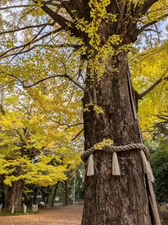 赤坂氷川神社(東京都)