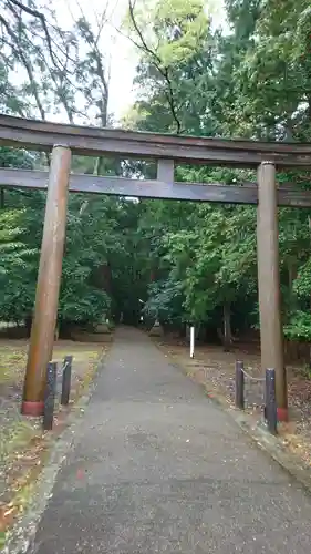 若狭彦神社（上社）の鳥居