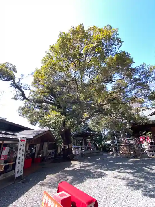座間神社(神奈川県)