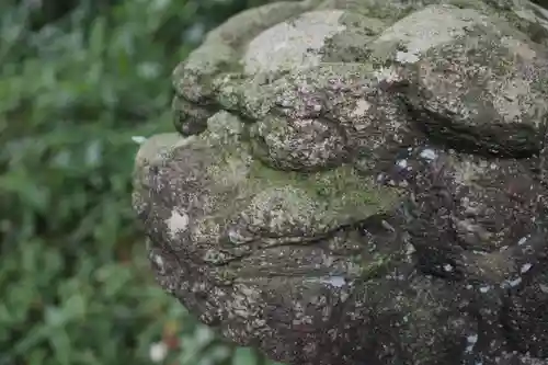 頼政神社の狛犬