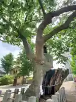 阿邪訶根神社(福島県)