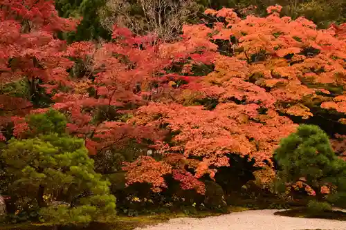 天授庵(京都府)