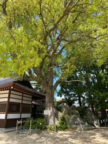 和貴宮神社(京都府)