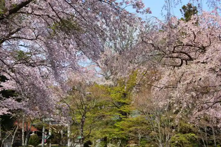 三春大神宮の景色