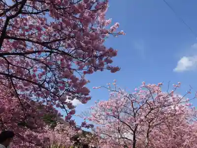 かっぱの寺 栖足寺(静岡県)