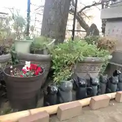 今戸神社の狛犬