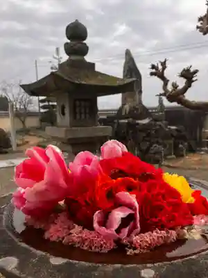 真言宗　善通寺派　薬王寺(香川県)