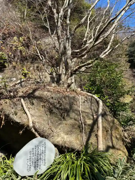 明月院の{uncategorized: "未分類", other: "その他", undefined: "問題あり", building: "その他建物", grave: "お墓", sacred_gate: "鳥居", guardian: "狛犬", statue: "像", buddha: "仏像", history: "歴史", nature: "自然", garden: "庭園", animal: "動物", pagoda: "塔", temizu: "手水舎", mountain_gate: "山門・神門", sanctuary: "本殿・本堂", subordinate: "末社・摂社", art: "芸術", scenery: "景色", jizo: "地蔵", ema: "絵馬", goshuin: "御朱印", omikuji: "おみくじ", items: "授与品その他", amulet: "お守り", goshuincho: "御朱印帳", eats: "食事", festival: "お祭り", votive_dance: "神楽", shichigosan: "七五三参", wedding: "結婚式", experience: "体験その他", initially: "初詣", around: "周辺", anti_infection: "感染症対策"}