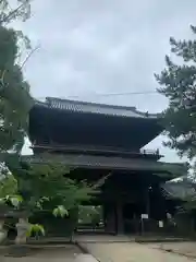 大樹寺（松安院大樹寺）(愛知県)