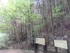 名草厳島神社の自然