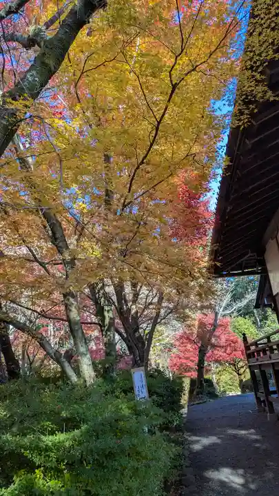 常照寺(京都府)