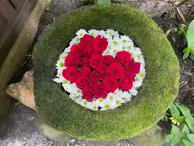 菅生神社(愛知県)