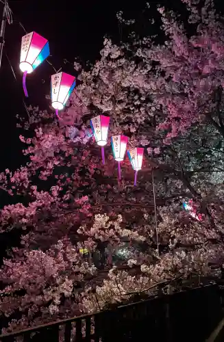 弘明寺の{uncategorized: "未分類", other: "その他", undefined: "問題あり", building: "その他建物", grave: "お墓", sacred_gate: "鳥居", guardian: "狛犬", statue: "像", buddha: "仏像", history: "歴史", nature: "自然", garden: "庭園", animal: "動物", pagoda: "塔", temizu: "手水舎", mountain_gate: "山門・神門", sanctuary: "本殿・本堂", subordinate: "末社・摂社", art: "芸術", scenery: "景色", jizo: "地蔵", ema: "絵馬", goshuin: "御朱印", omikuji: "おみくじ", items: "授与品その他", amulet: "お守り", goshuincho: "御朱印帳", eats: "食事", festival: "お祭り", votive_dance: "神楽", shichigosan: "七五三参", wedding: "結婚式", experience: "体験その他", initially: "初詣", around: "周辺", anti_infection: "感染症対策"}
