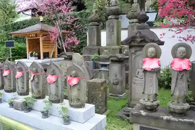 宝勝山　南藏院   蓮光寺(東京都)