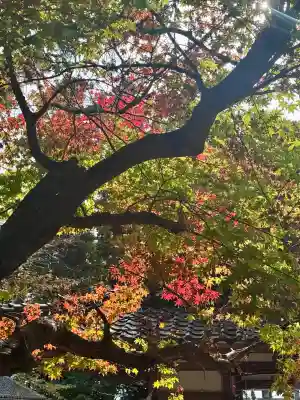 劔神社(滋賀県)
