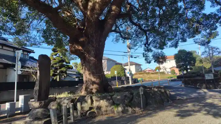 光長寺(静岡県)