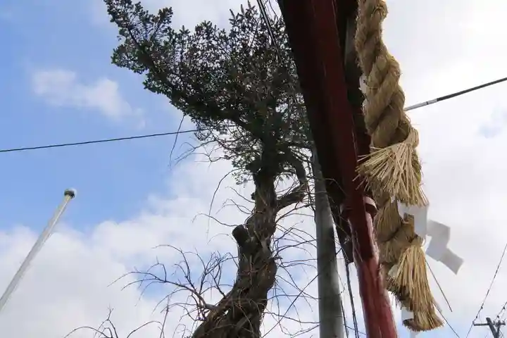 大鏑神社の自然
