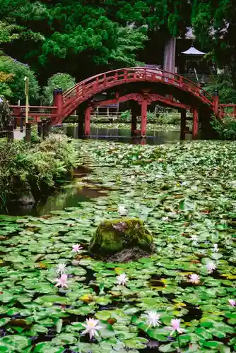 金剛證寺のその他建物