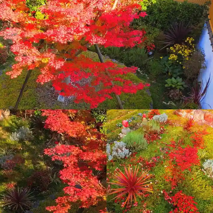 寿量山 速成寺の自然