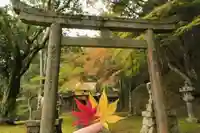 桜天満宮(京都府)