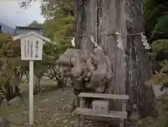 中禅寺の建物その他