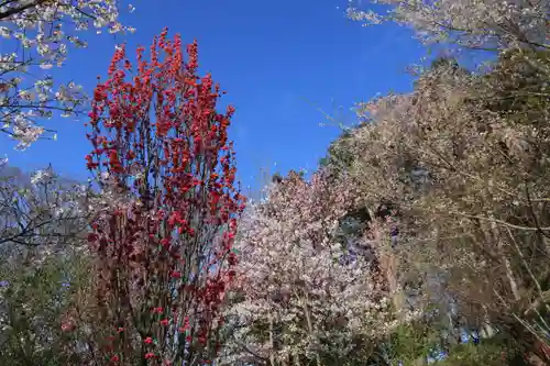 阿久津「田村神社」（郡山市阿久津町）旧社名：伊豆箱根三嶋三社の景色