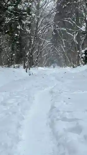 戸隠神社奥社の{uncategorized: "未分類", other: "その他", undefined: "問題あり", building: "その他建物", grave: "お墓", sacred_gate: "鳥居", guardian: "狛犬", statue: "像", buddha: "仏像", history: "歴史", nature: "自然", garden: "庭園", animal: "動物", pagoda: "塔", temizu: "手水舎", mountain_gate: "山門・神門", sanctuary: "本殿・本堂", subordinate: "末社・摂社", art: "芸術", scenery: "景色", jizo: "地蔵", ema: "絵馬", goshuin: "御朱印", omikuji: "おみくじ", items: "授与品その他", amulet: "お守り", goshuincho: "御朱印帳", eats: "食事", festival: "お祭り", votive_dance: "神楽", shichigosan: "七五三参", wedding: "結婚式", experience: "体験その他", initially: "初詣", around: "周辺", anti_infection: "感染症対策"}