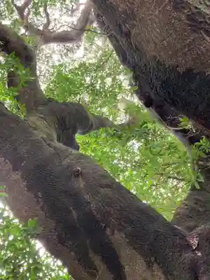八阪神社(山口県)