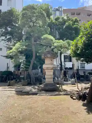 髙福院(東京都)