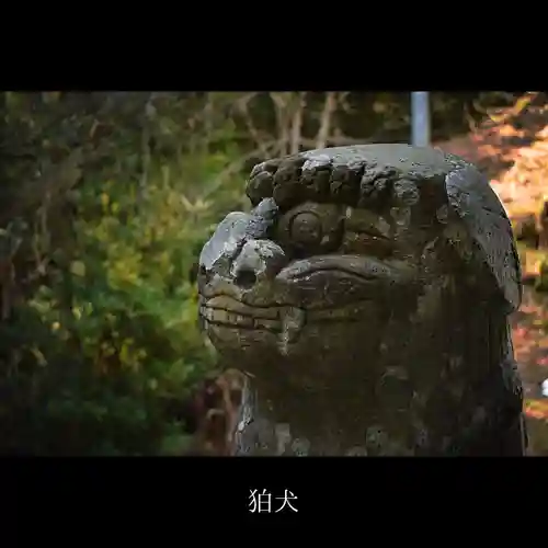 八幡宮の狛犬