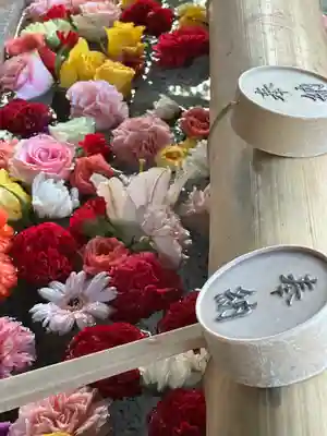 群馬県護国神社(群馬県)