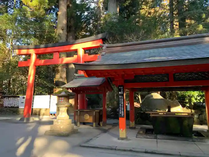 箱根神社の手水舎
