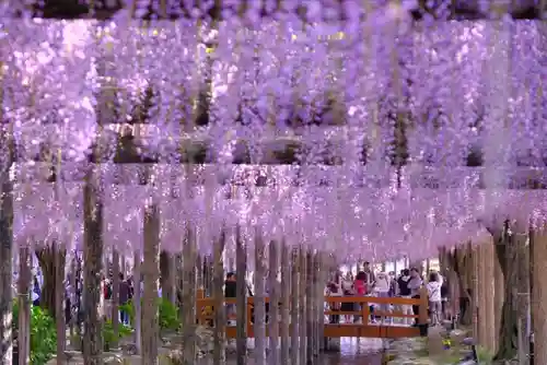 津島神社(愛知県)