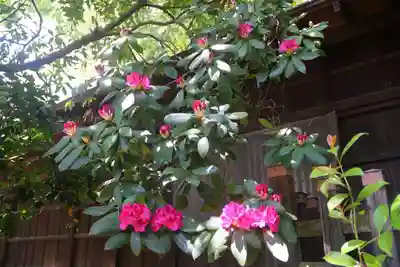 阿邪訶根神社の自然
