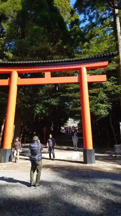 霧島神宮(鹿児島県)