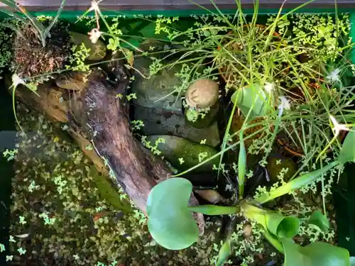 八坂寺のその他建物