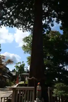 観音正寺(滋賀県)