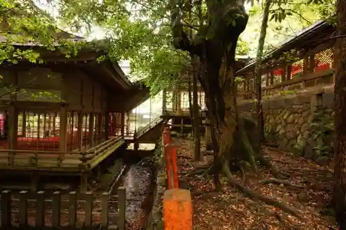 敢國神社の建物その他