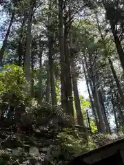 三峯神社(埼玉県)