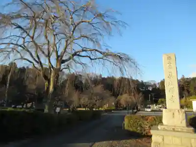 眞城寺(東京都)