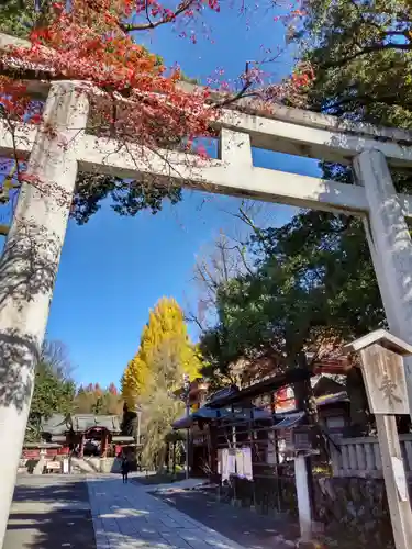 秩父神社の鳥居